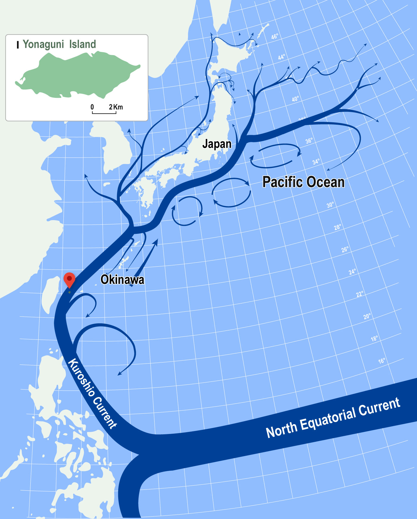 黒潮と地殻活動がおりなす奇跡